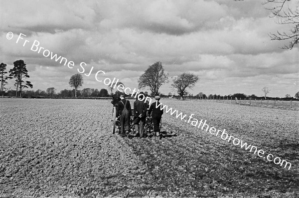 SOWING OATS